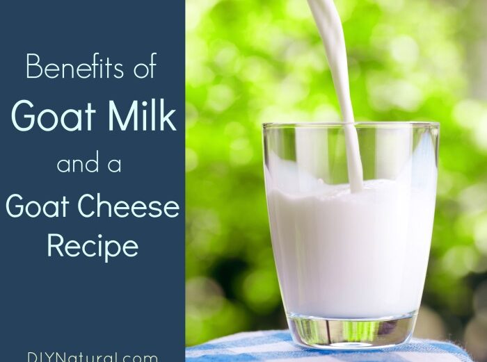 Milk goat cow raw milking drinking carton vs advantages little girl packaging type use health than infant formula gut benefit